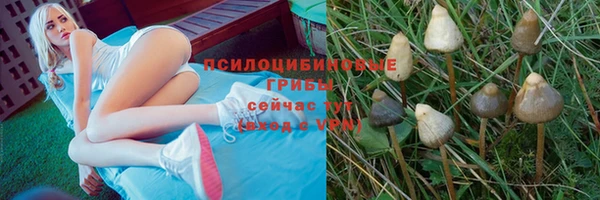 соль ск Балабаново