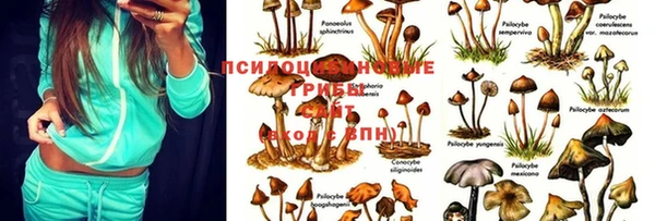 метамфетамин Балахна